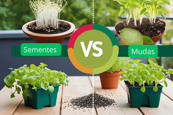 O Ponto de Partida Verde: Desvendando a Melhor Escolha entre Sementes e Mudas para Sua Horta Urbana Compacta